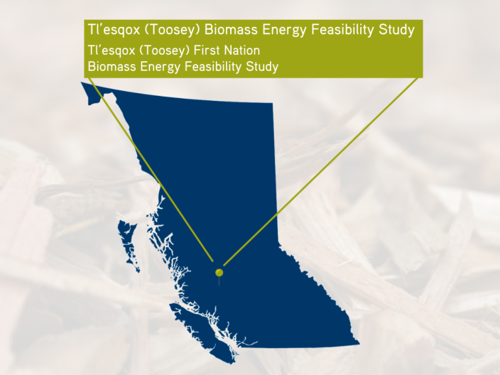 Tl’esqox Biomass Energy Feasibility Study